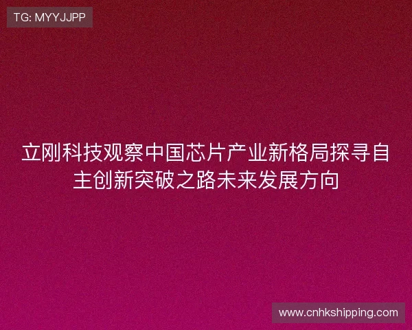 立刚科技观察中国芯片产业新格局探寻自主创新突破之路未来发展方向